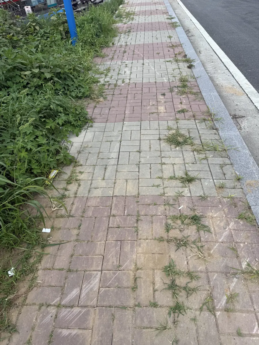보도블럭 교체 시흥 보도블럭 새것으로 교체